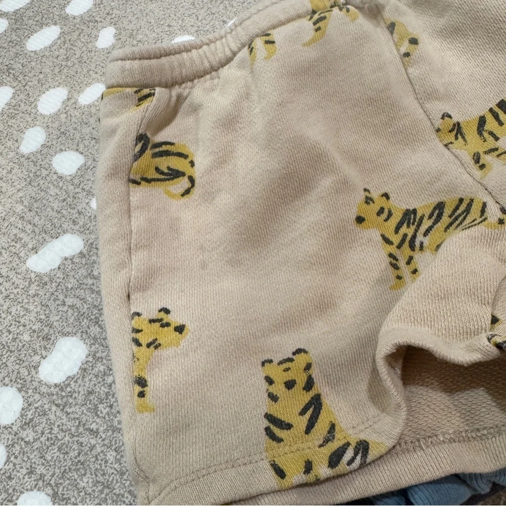 Lot of 10 Zara Kids tee sweater crewneck shorts joggers sweatpants rib toddler
